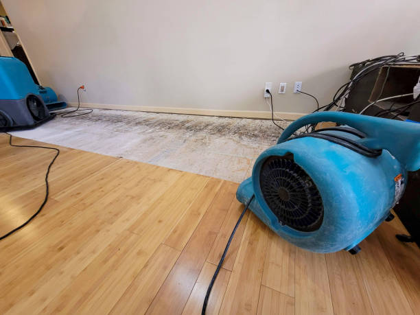 Professional Flood Damage Cleanup technician working in Fox Lake, IL
